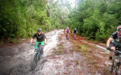 Sunshine Coast mountain biking an ideal off-road adventure