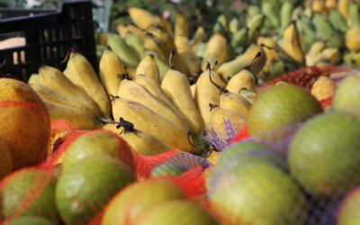 Markets on the Sunshine Coast – various locations