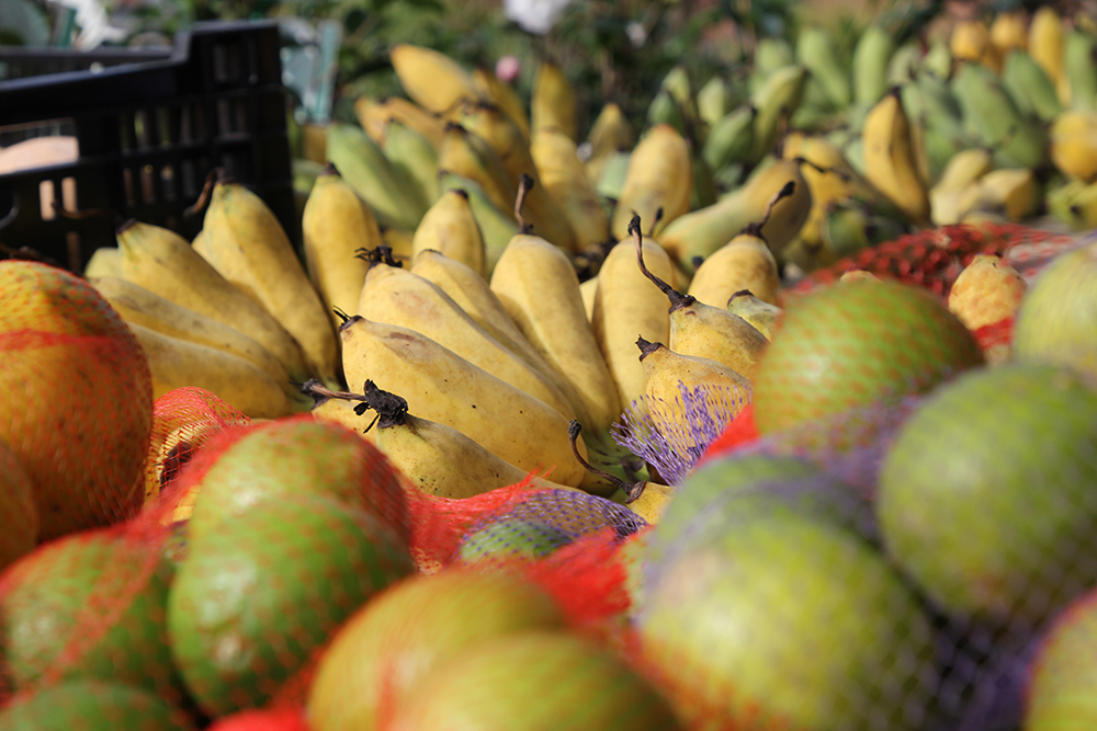 Markets on the Sunshine Coast – various locations